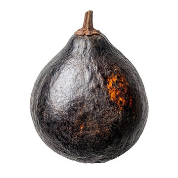 Top view of single borojo fruit isolated on a white transparent background