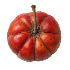 Top view of single Malay apple fruit isolated on a white transparent background