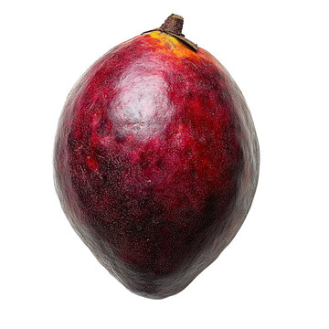 Top view of single mangaba fruit isolated on a white transparent background