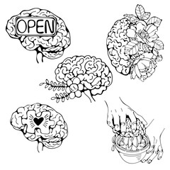 Brain illustrations collection in vector