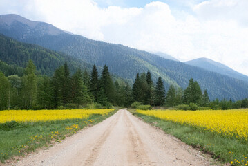A dirt road stretches through fields of yellow flowers and dense green forest, leading to majestic mountains under a partly cloudy sky.