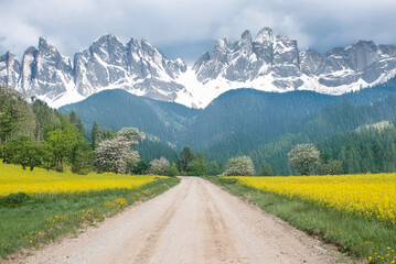 A dirt road stretches through fields of yellow flowers and dense green forest, leading to majestic mountains under a partly cloudy sky.