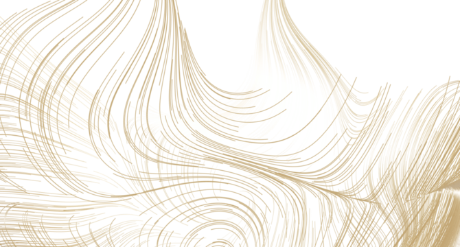 Elegant gold lines on white background. Perfect for luxury, modern, and minimalist designs.