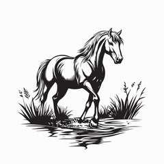 Horse in a shallow stream in a misty meadow image vector isolated on white background