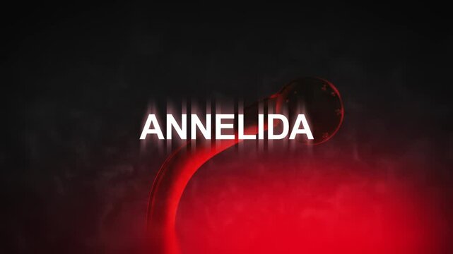 A Annelida Tapeworm with Annelida Typography

No AI was used in the making of this clip.