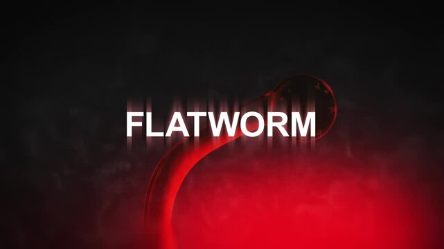 A Parasitic Flatworm with Flatworm typography

No AI was used in the making of this clip.

