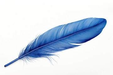 Blue feather white background lightweight accessories.