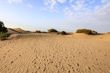 Hot, sunlit sand with natural wavy patterns resembling small dunes on wild, untouched beach. Calm...