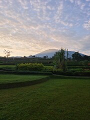 Dew-kissed grass with majestic mountains glowing under the sunrise light. A serene early morning landscape blending vibrant nature and soft golden hues.