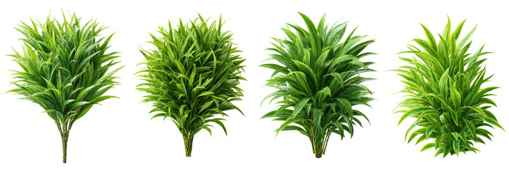 Obraz premium Lush Green Plant Foliage Display in Four Distinct Arrangements