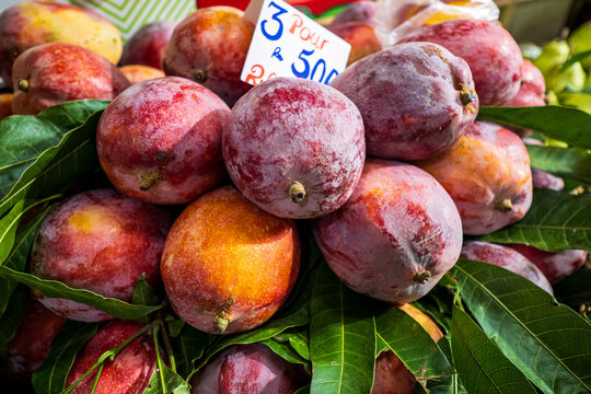 Beautiful view of fresh, delicious-looking mangoes at a farmers' market in Port Louis, Mauritius, Africa