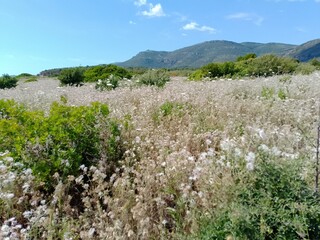 spring in the mountains in Bosa, Sardinia