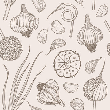 Seamless pattern with garlic bulb, pieces, blossom, cloves. Hand drawn linear design. Engraving organic vegetable concept. Botanical background for print, wrapping paper, fabric, banner, textile