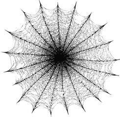 Obraz premium Intricate black and white spider web design with radial symmetry. Vector illustration