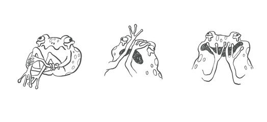 Sad Frog Lineart Sketch – Funny Crying Frogs Hand Drawn Illustration for Memes, Tattoos, Stickers and Quirky Prints