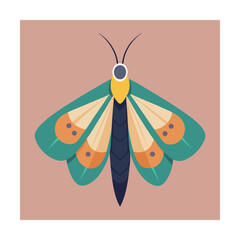 Colorful butterfly insect illustration with modern flat design for decorative backgrounds and designs