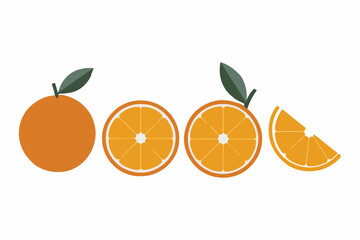 Big vector collection of fresh oranges. Orange fruit isolated on white background. Vector illustration for design and print