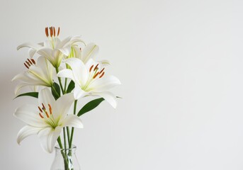 Fototapeta premium White lilies in a glass vase against a white background with copy space