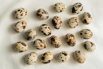 spotted quail eggs, randomly on light fabric, photo from above