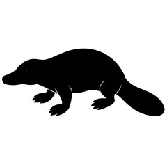 vector illustration of a seal