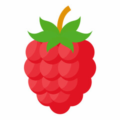 raspberry vector illustration