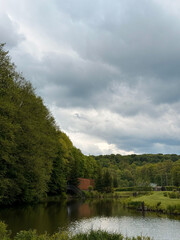 river in the forest. Beautiful modern park