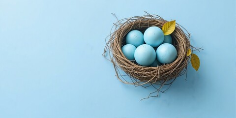 Blue Eggs in a Nest on Light Blue Background