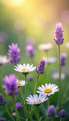 Delicate lavender & daisy blooms swirl in sunlit meadow , wallpaper, flower