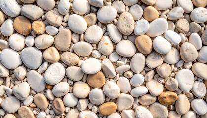 Organic River Stones Texture with Soft Light, Cream and Earth Tones