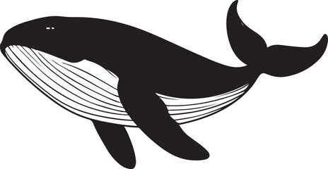 vector illustration of a whale