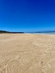 sand dunes on the beach