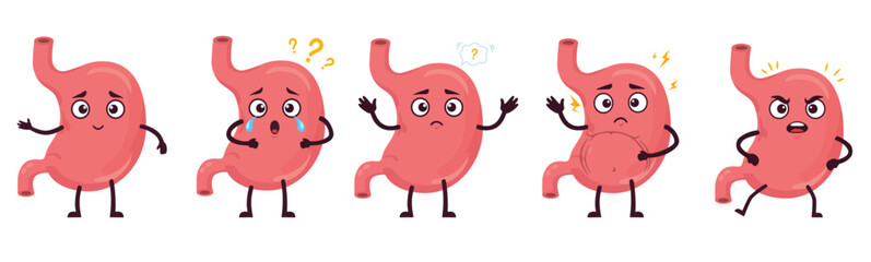 Set of cartoon stomachs with different emotions: happy, sad, confused, pain, and angry. Medical and educational illustration on transparent background