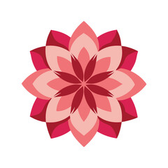 vector illustration of a red flower