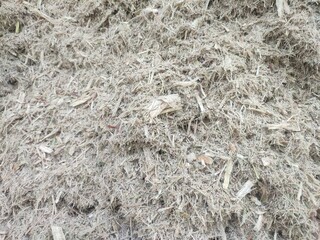 Sugarcane bagasse, a sugar mill byproduct, reused as eco-friendly fuel—sustainable energy from agricultural waste.