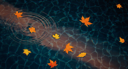 Autumn leaves floating on water surface with ripples below  