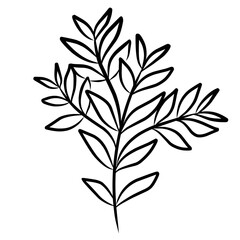 Botanical leaves branch outline 