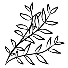 Botanical leaves branch outline 