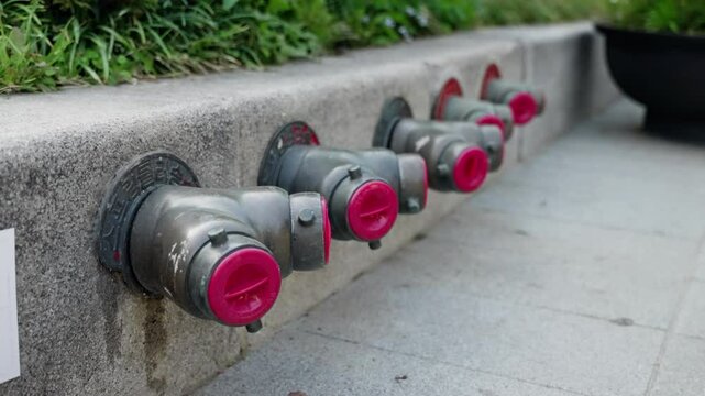 A Series of Industrial Fire Hydrant Connections with Bright Pink Caps Set Against a Natural Green Backdrop, Highlighting Urban Safety Features
