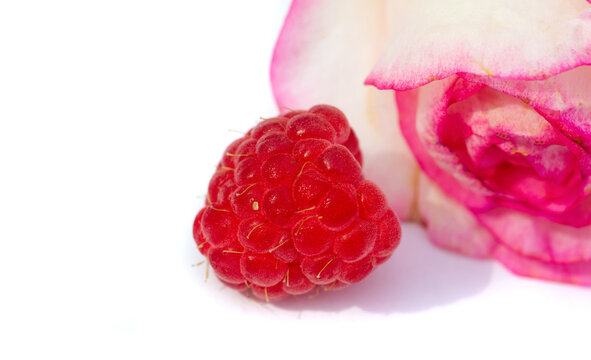Raspberry. It's time to rejoice - it's finally raspberry season. There is something magical about this little gem; there is only a short window to get a fine tasting basket.