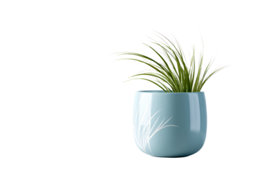 Stylish blue pot with grass on a transparent background