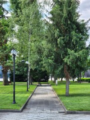 beautiful view of the alley between the trees in the park