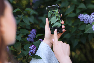 Woman using plant recognition application on smartphone outdoors, closeup