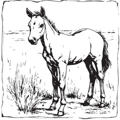 beautiful sketch of the silhouette of a horse with a mane, which stands in a clearing, black and white vector, graphics
