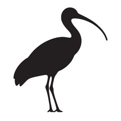 Obraz premium Ibis silhouette with poised elegance – Ibis illustration – Minimalist Ibis vector – Bird silhouette – Bird vector