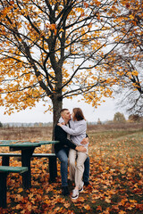 Young couple sitting and hugging on a bench under a yellow-leaved tree. Autumn idyll in nature, a romantic moment among fallen leaves in a field. A warm, cozy atmosphere surrounded by colorful leaves 