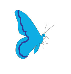 A Vivid Blue Butterfly with Intricate Wing Detail, a Symbol of Transformation and Beauty in Nature