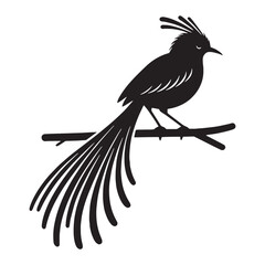 Naklejka premium Bold Lyrebird silhouette in graceful flight – Lyrebird illustration – Minimalist Lyrebird vector – Bird silhouette – Bird vector