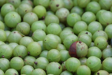 season fruit in Luang Prabang, Laos