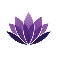 Purple Lotus Bloom A Symbol of Peace and Harmony