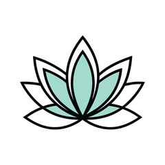 Lotus Flower in Bloom